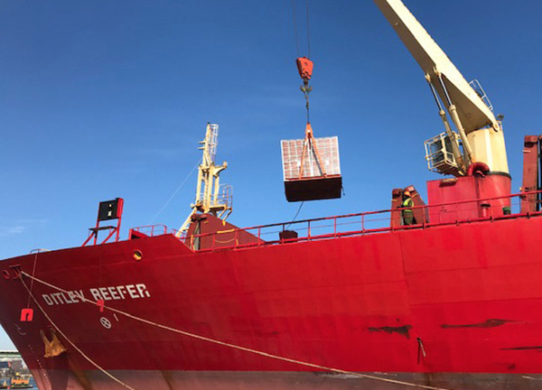 Port of Wilmington’s Darling Clementines